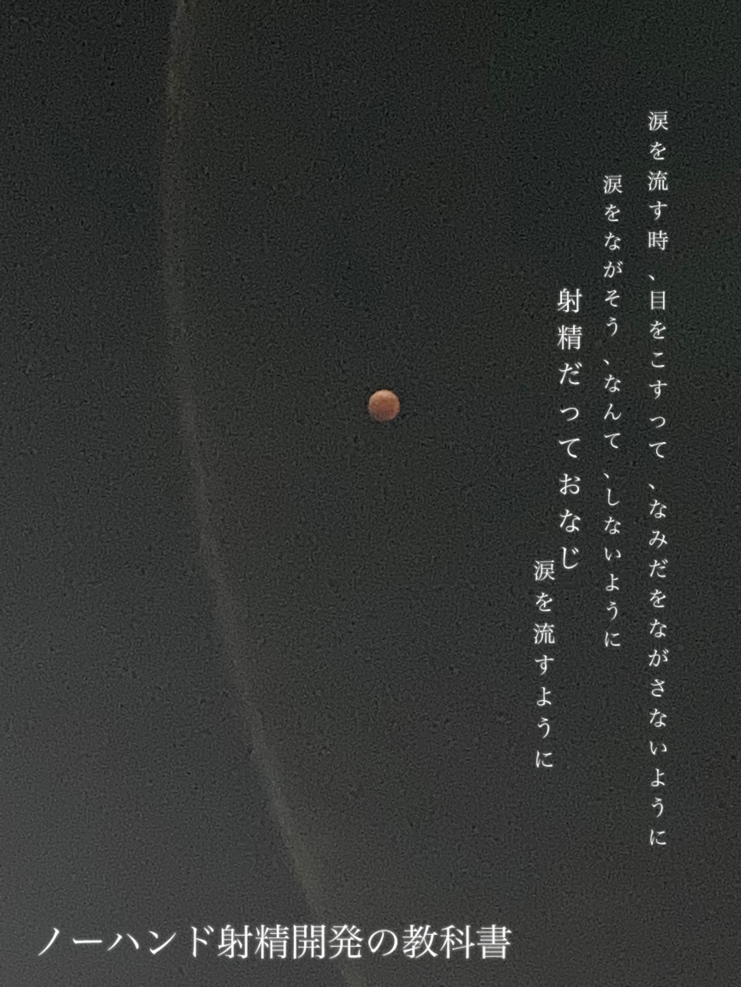 ノーハンド射精開発の教科書